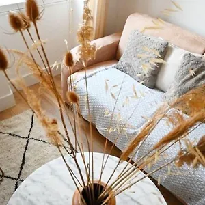 https://chez-zize-t2-unique-roucas-blanc.fr-provencehotel.com